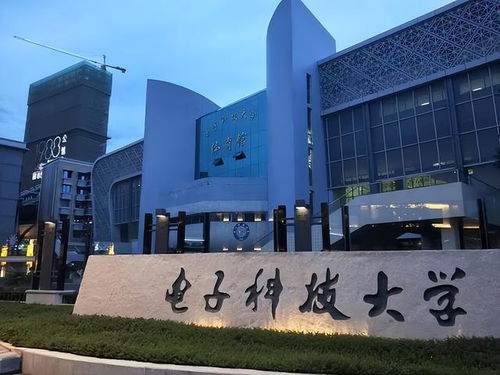 660分上了電子科技大學(xué),不料學(xué)費居然高達100000,到底值不值