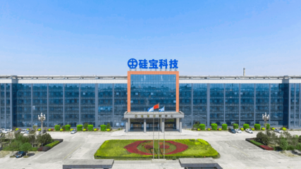 【新理事】成都硅寶科技股份董事長王有治