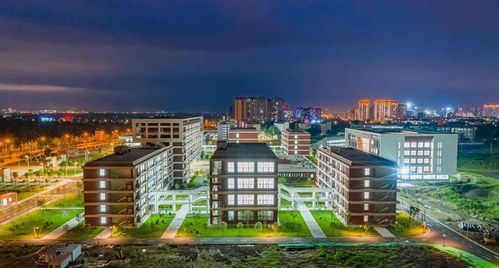 電子科技大學(xué)成都學(xué)院什邡校區(qū)驚艷亮相，金秋九月將迎來(lái)首批師生